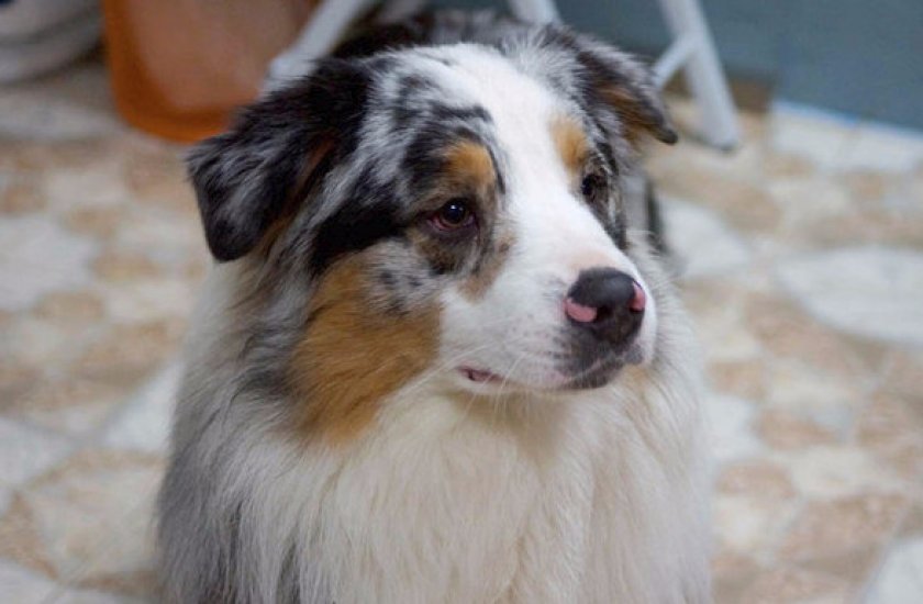 Здоровье Здоровье