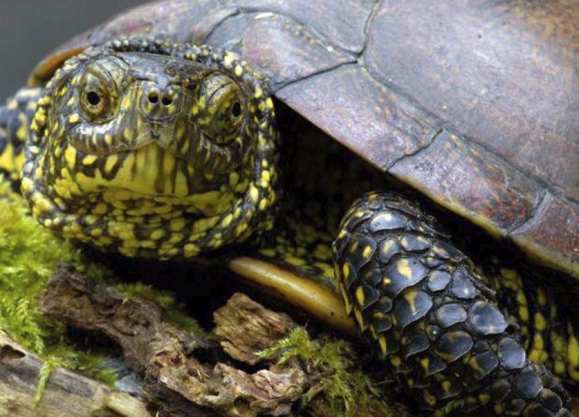 Уход и гигиена