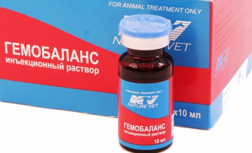 Гемобаланс