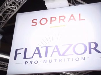 Все о корме для собак «Флатазор» («Flatazor»)