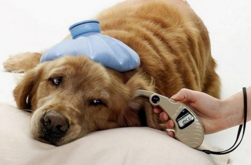 Сахарный диабет