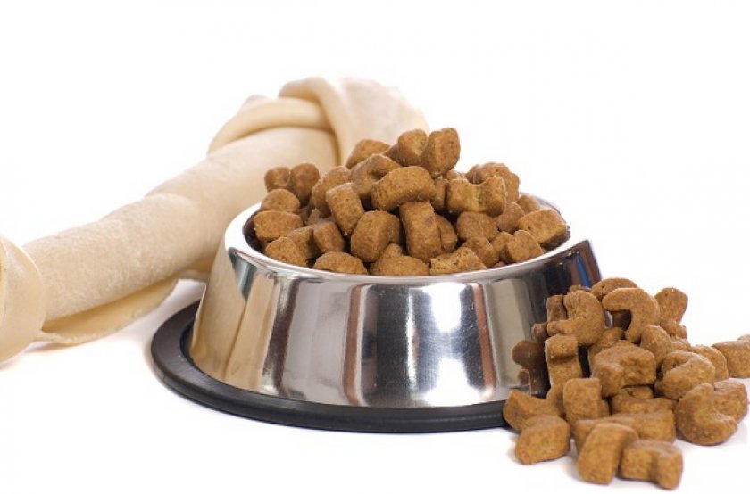 Питание собаки