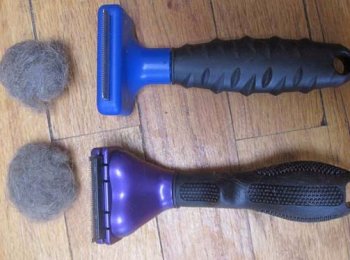 Забываем о кошачьей шерсти, или что такое расческа фурминатор