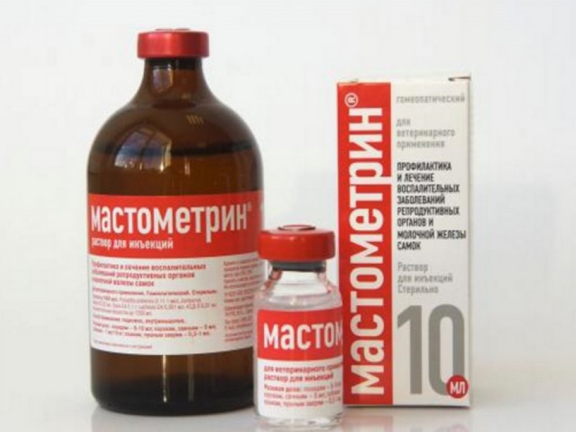 «Мастометрин»