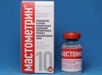 «Мастометрин» (раствор для инъекций): от чего помогает, как применять для кошек и собак