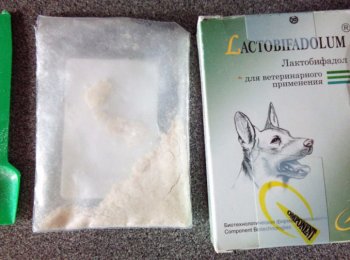 «Лактобифадол» для домашних животных: от чего помогает, как давать