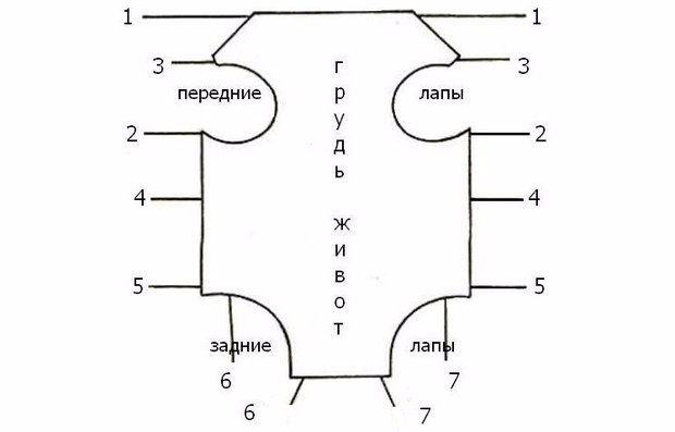 Попона Попона