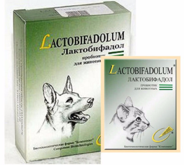 Лактобифадол форте для собак. Пробиотик для кошек Лактобифадол. Лактобифадол форте для кошек. Пробиотик для собак Лактобифадол.