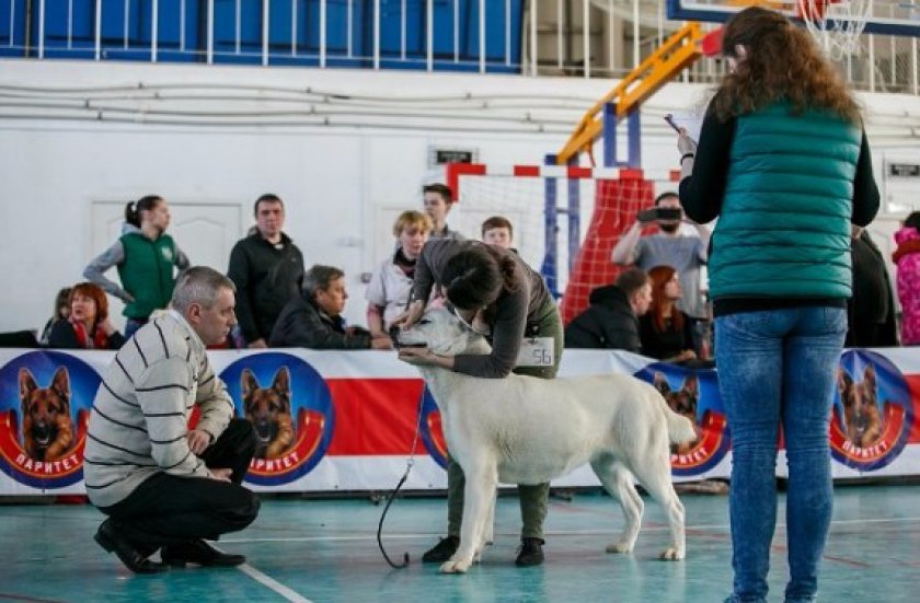 Эксперт Эксперт