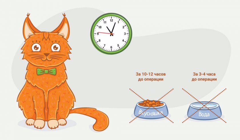 Подготовка