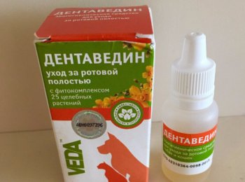 «Дентаведин»: гель для полости рта собак и кошек