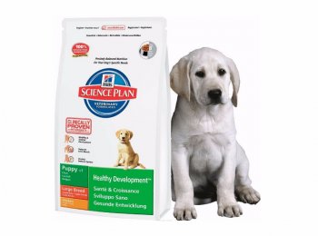 Все о корме для собак «Хиллс» (Hills)