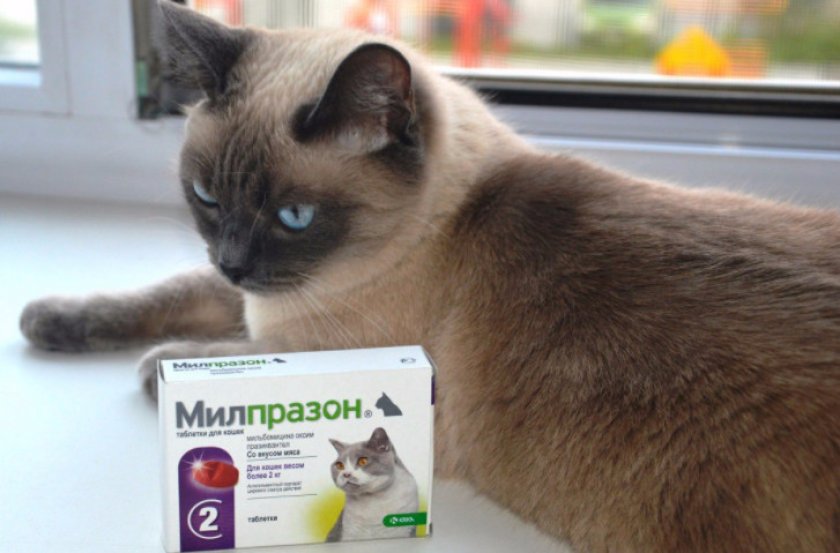 Милпразон Милпразон