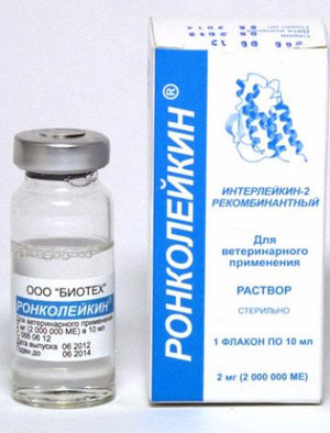 Как применять «Ронколейкин» для собак и кошек