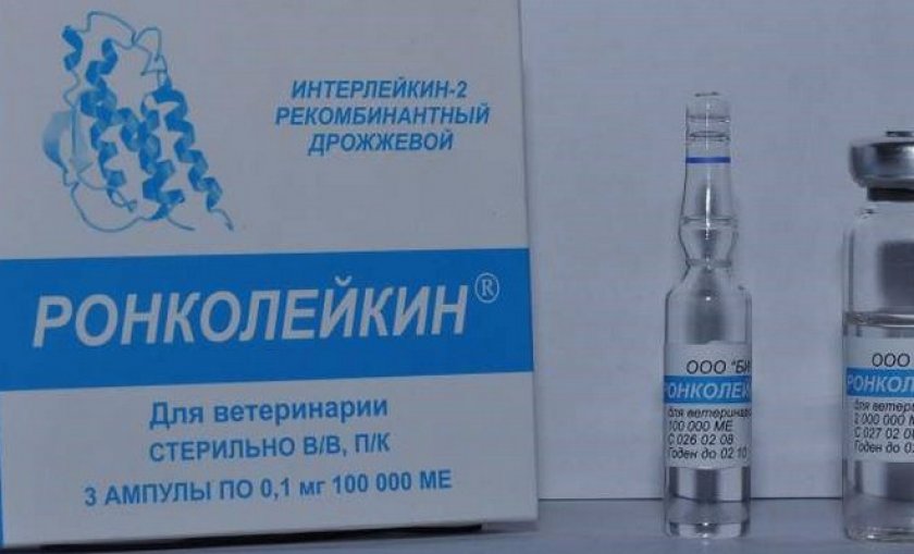 Ронколейкин