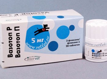 «Вазотоп» для здорового сердца вашего питомца