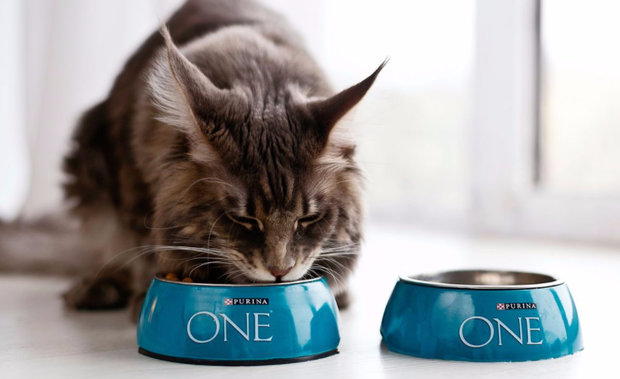 Purina ONE Purina ONE