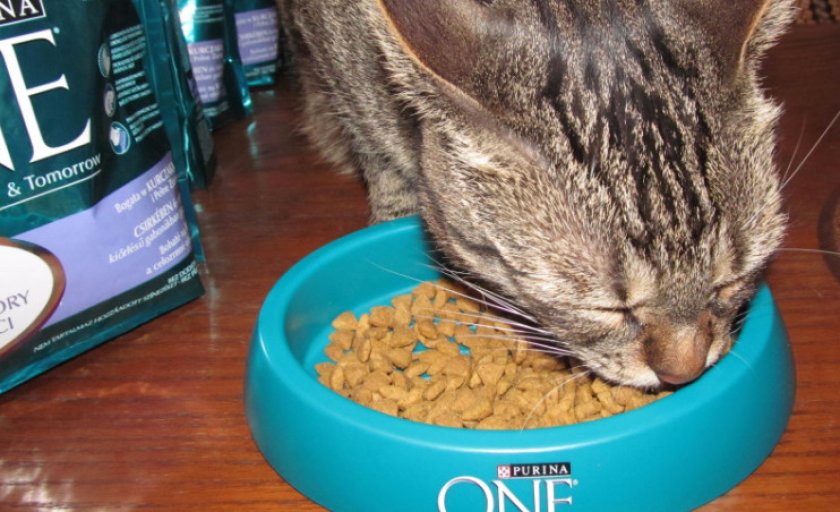 Purina ONE