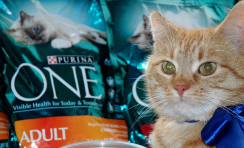 Purina ONE