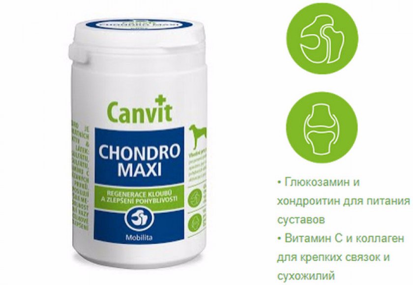Canvit Chondro Maxi