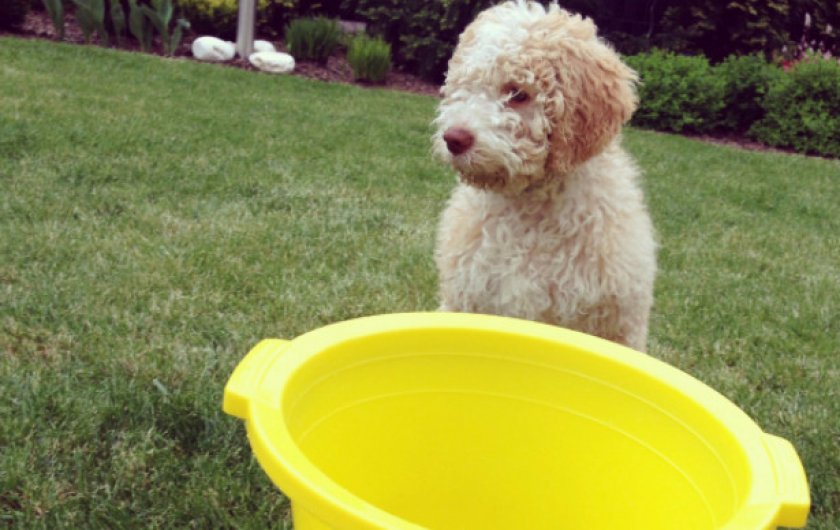 Купание Купание