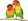Имена для попугаев, как назвать пернатых мальчиков и девочек