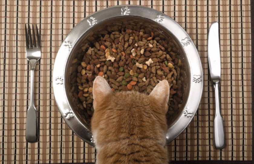 Советы по кормлению Советы по кормлению