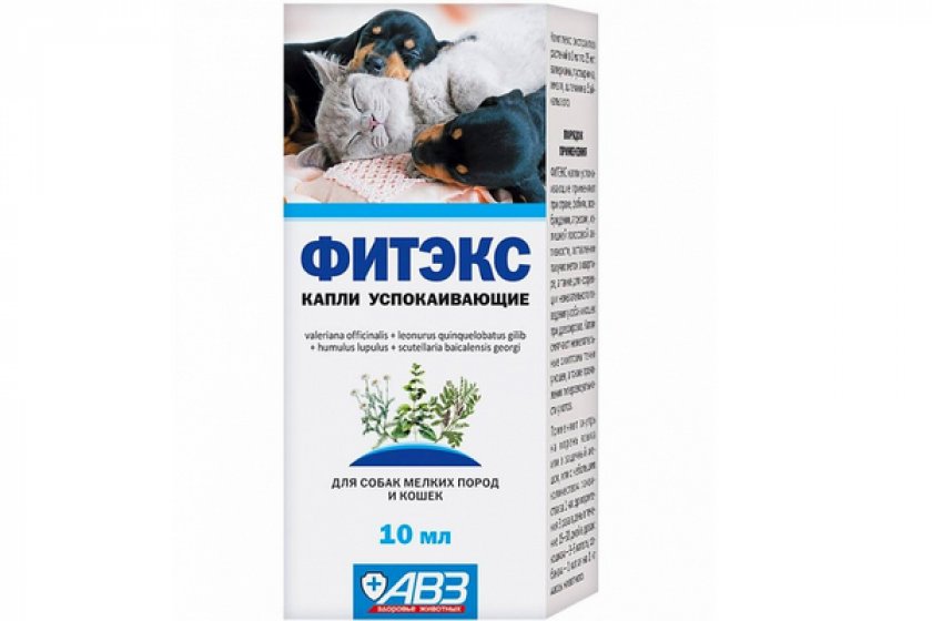 «Фитэкс» «Фитэкс»