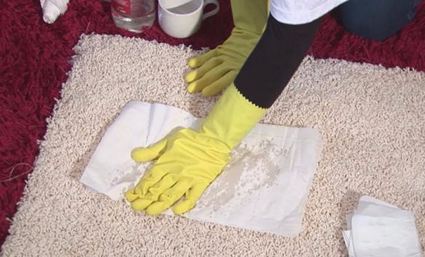 как избавиться от запаха кошачьей мочи