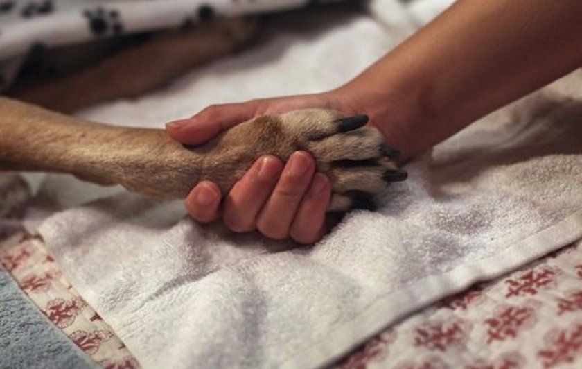 Как проходит последнее прощание