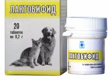 «Лактобифид»: как давать и применять для собак и кошек