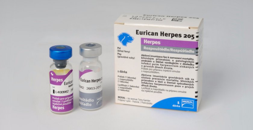 вакциной «Эурикан»