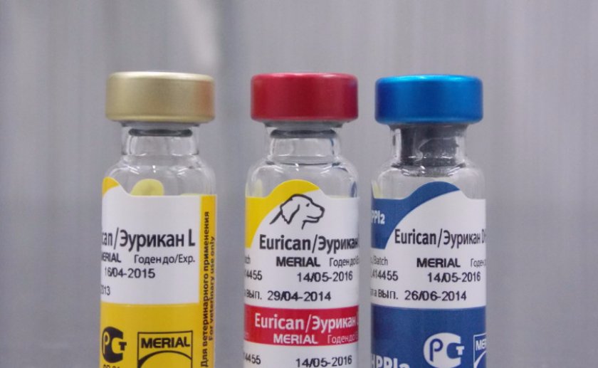 вакцина «Эурикан»