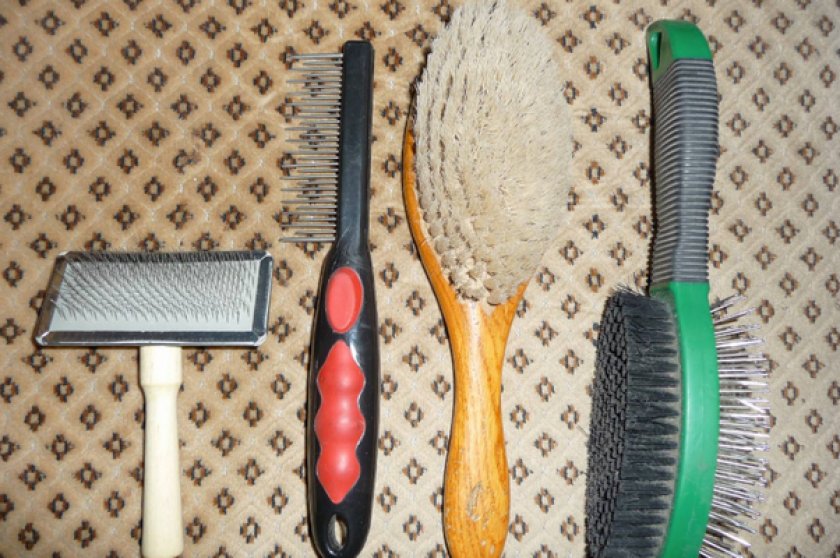 Щетки для собаки Щетки для собаки