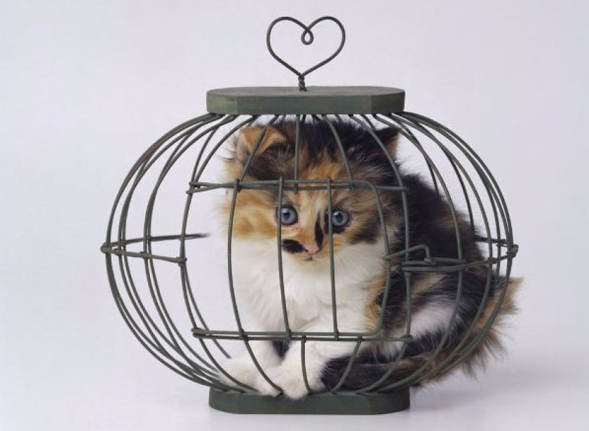 Металлическая решетка