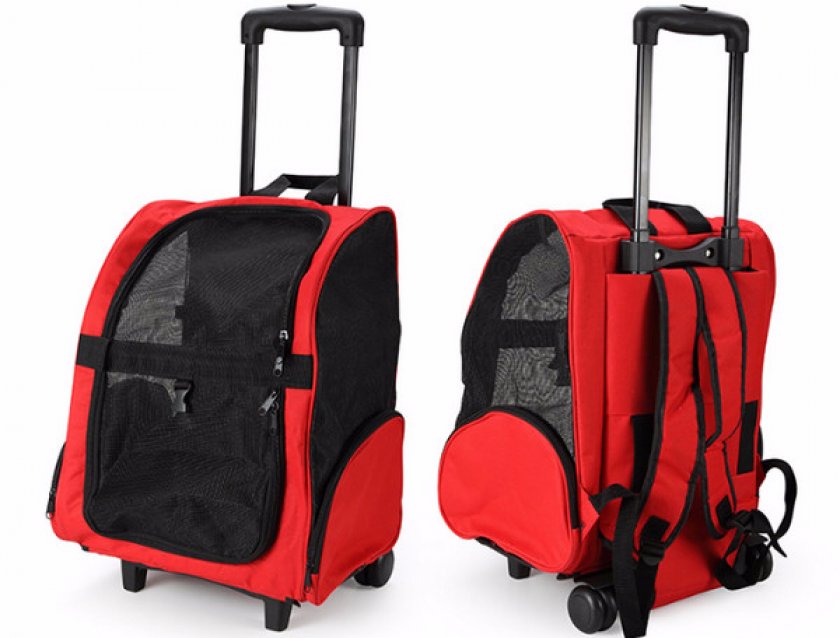 Сумка на колесах для котов