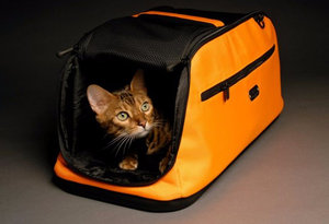 Переноска для кошки