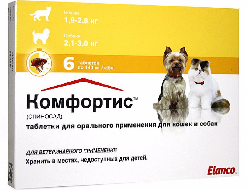 блохи у собаки блохи у собаки