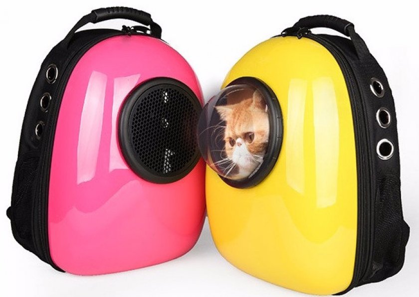 Рюкзак для кошки