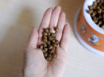 Все о корме для взрослых собак и щенков «Бош» (Bosch)