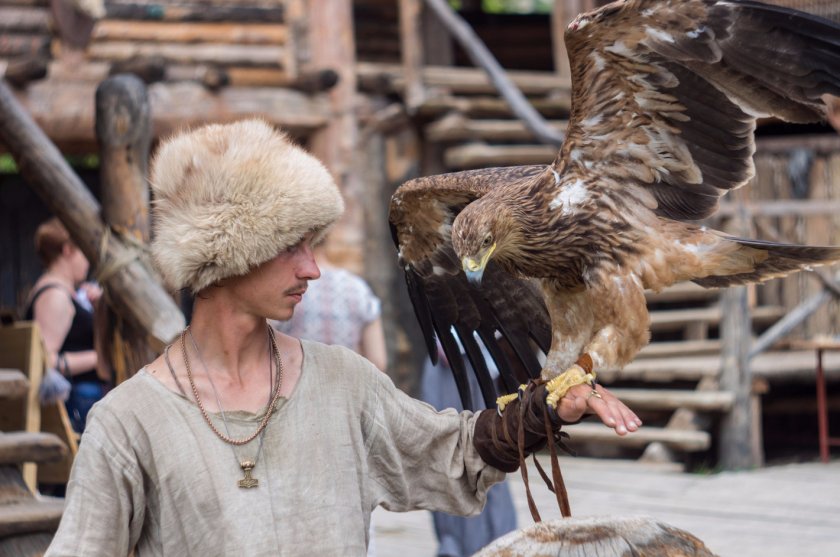 Дрессировщик