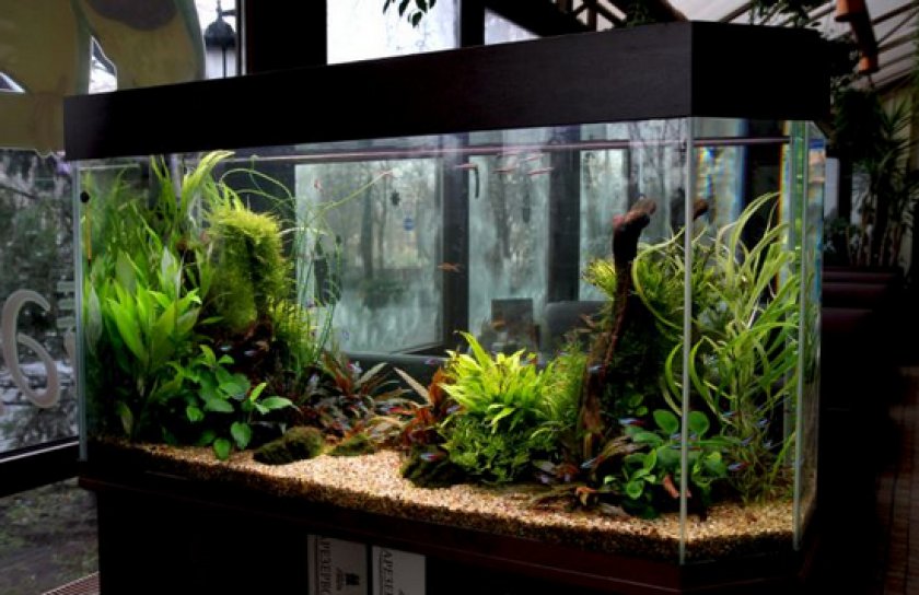 обогреватель для аквариума обогреватель для аквариума