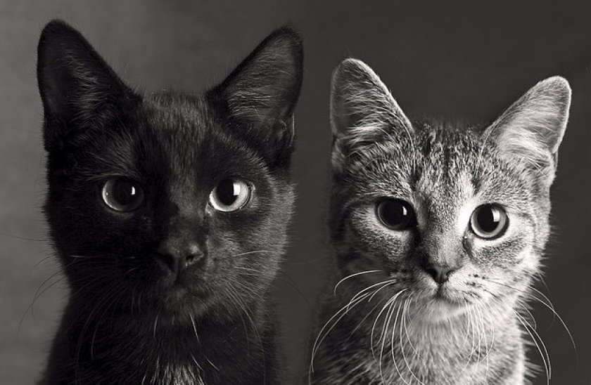 При одновременной покупке При одновременной покупке