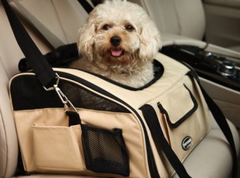 Насколько удобна и нужна ли сумка-переноска для собак