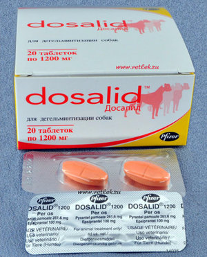 Досалид Досалид