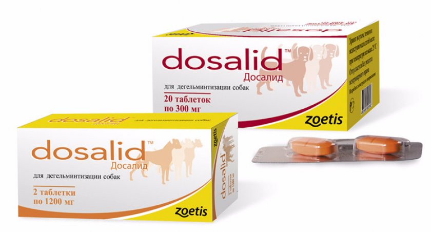 Досалид Досалид