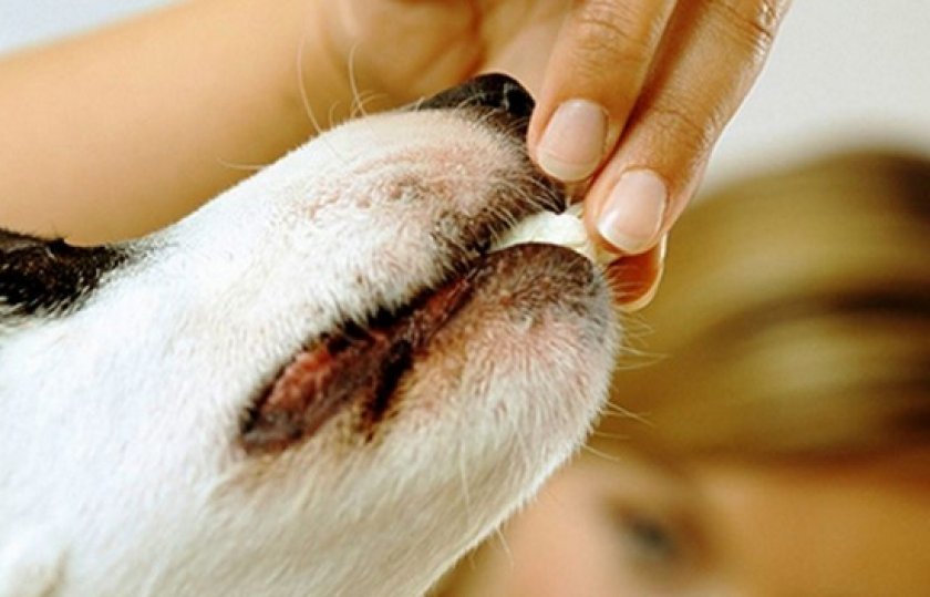 «Милпразон»