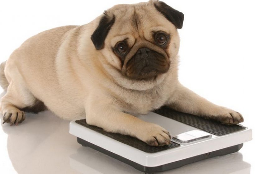 «Милпразон»