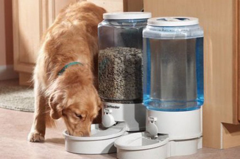 Емкость с контейнером