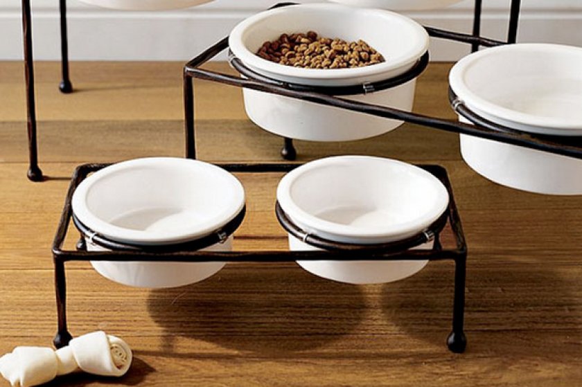 Миски для собаки